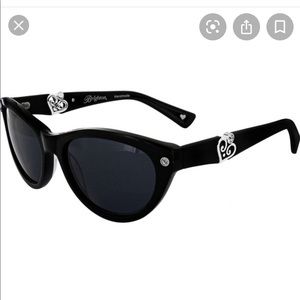 Brighton sunglasses